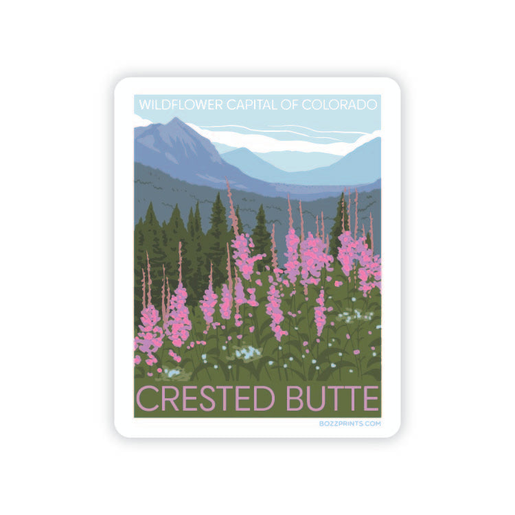 Crested Butte Wildflowers