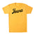 University of Iowa Script T-Shirt